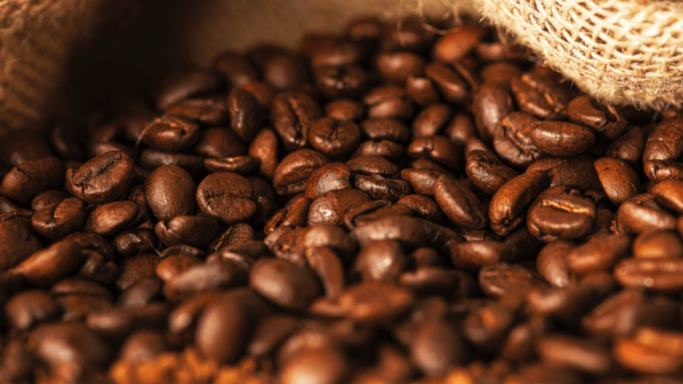 Frisch geröstete Specialty Coffee Kaffeebohnen sind in einem Sack, bereit für den Verkauf.